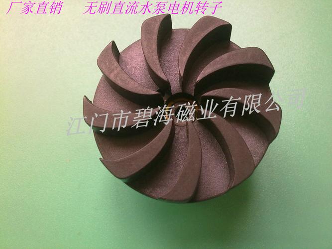 厂家供应高品质各种规格 注塑铁氧体水泵电机转子 品质保障